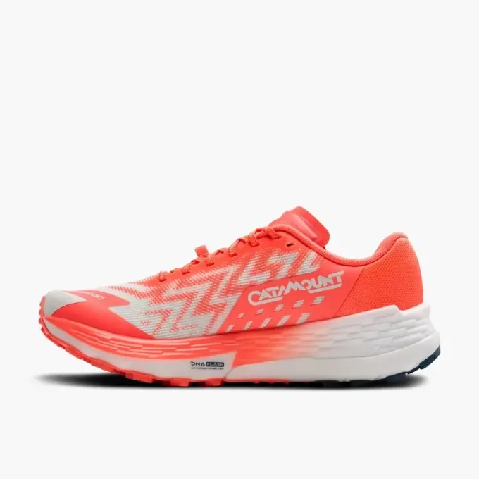 Brooks Catamount 4