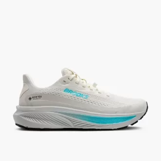Brooks Ghost 17 GTX